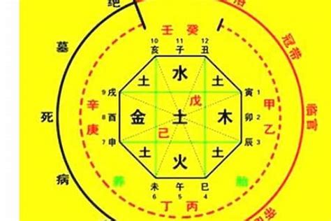 喜水之人|八字中的五行水该如何理解 八字五行水旺的人忌讳什么